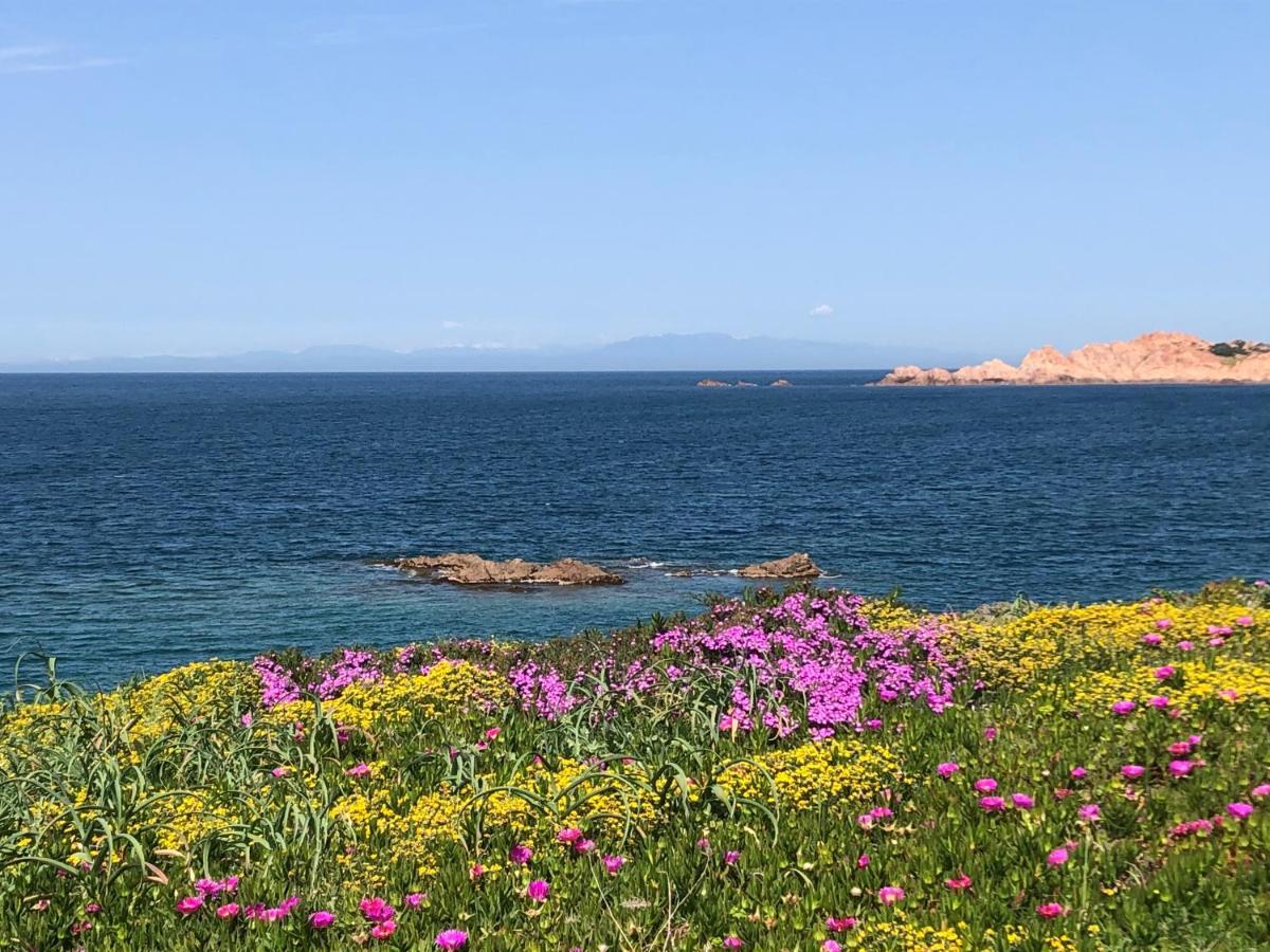 Borgo Spiaggia ايزولا روسا المظهر الخارجي الصورة